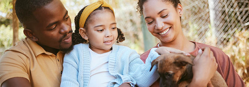 Happy family, animal shelter and dog with girl and parents bond, relax and sharing moment of love, trust and care